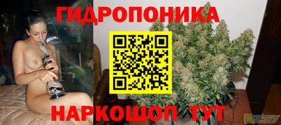 a pvp Будённовск