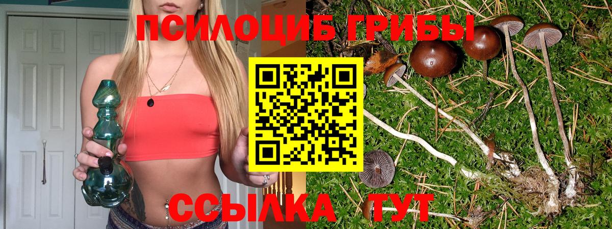 Галлюциногенные грибы MAGIC MUSHROOMS  Псилоцибиновые грибы MAGIC MUSHROOMS  Вход с VPN  Усть-Джегута 